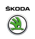 100%   Škoda auto